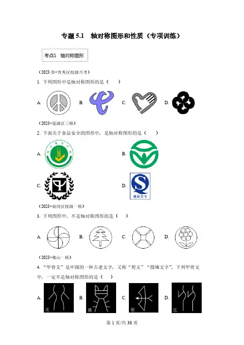 专题 轴对称图形和性质  专项训练七年级数学下册