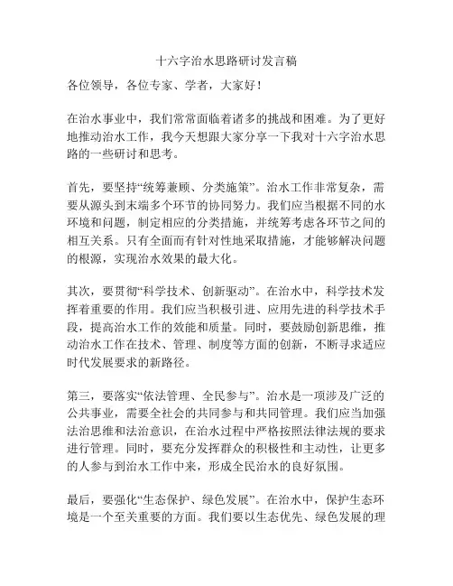 十六字治水思路研讨发言稿