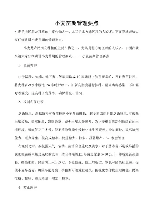 小麦苗期管理要点