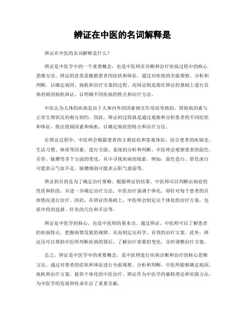 辨证在中医的名词解释是
