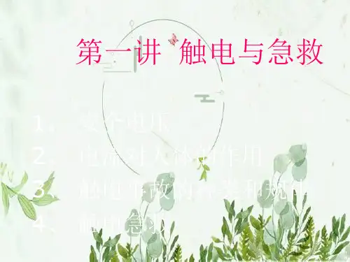 电气安全知识讲座图文ppt课件