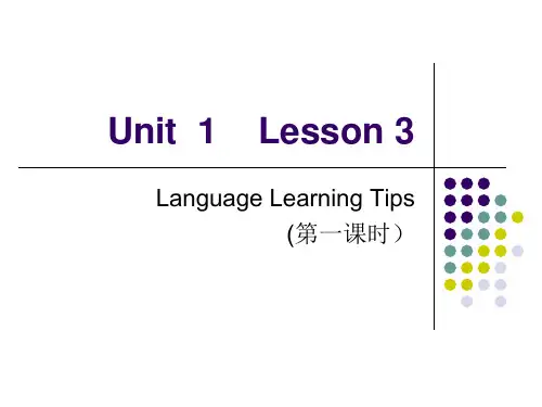 北师大版英语九年级Unit 1 Language Lesson 3 Language Learning Tips课件
