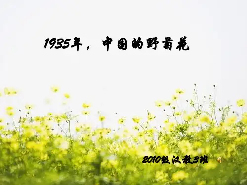 1935年,中国的野菊花
