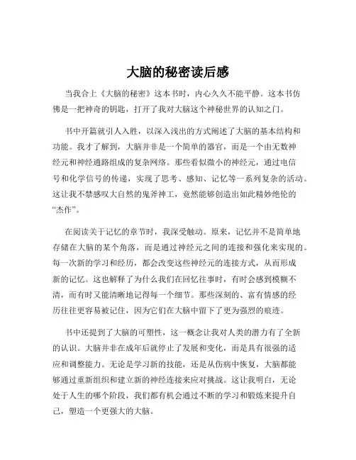 大脑的秘密读后感