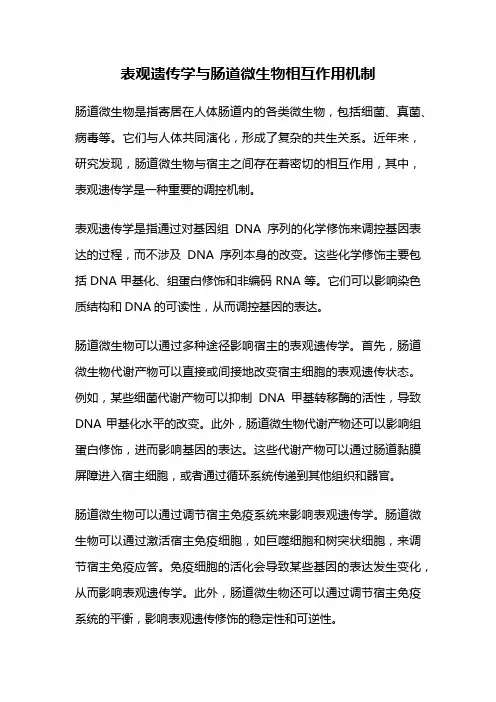 表观遗传学与肠道微生物相互作用机制