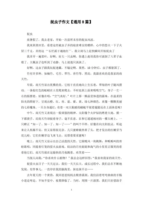 精选捉虫子作文【通用8篇】