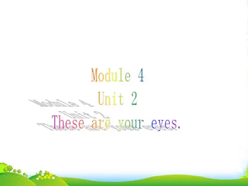外研版一年级英语下册Module4unit2theseareyoureyes课件