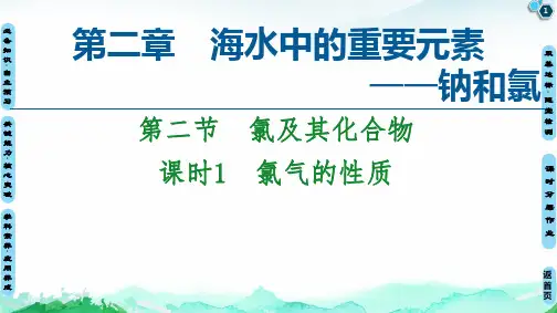 氯气的性质课件【新教材】人教版高中化学必修
