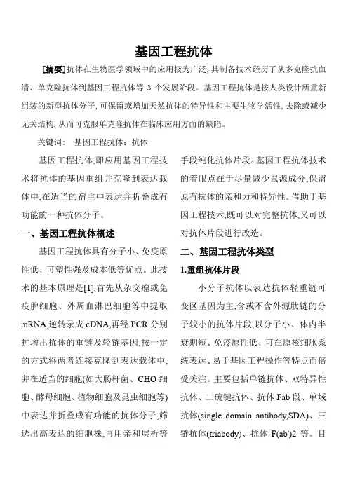 基因工程抗体