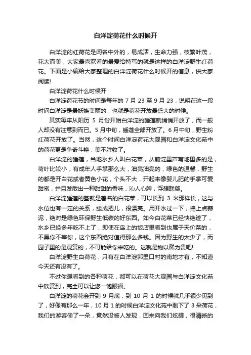 白洋淀荷花什么时候开