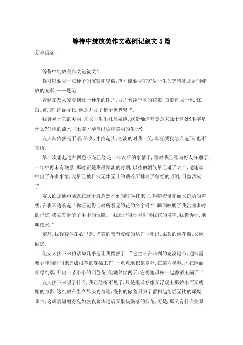等待中绽放美作文范例记叙文5篇