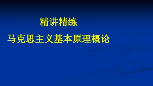 知识点精讲精练讲义-马原