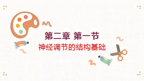高中生物人教版选择性必修一2.1神经系统的结构基础