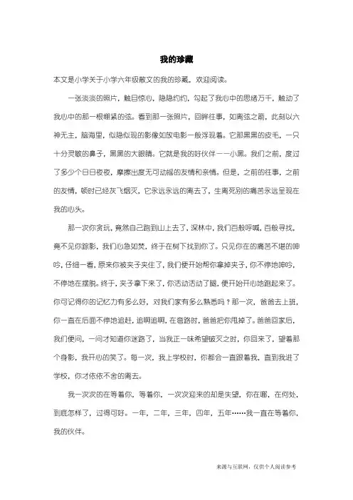 小学六年级散文：我的珍藏