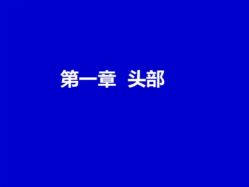 头部影像解剖精品PPT课件