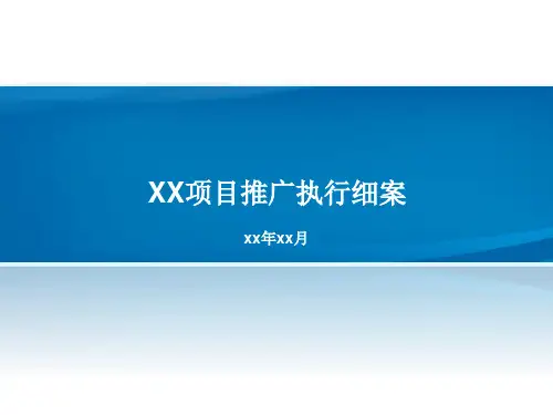 某项目推广执行细案