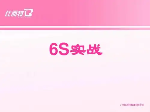 “6S”实战