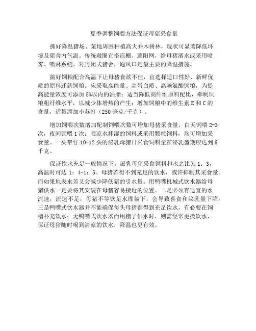 夏季调整饲喂方法保证母猪采食量