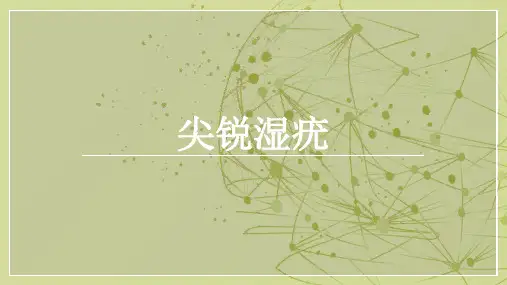 尖锐湿疣 