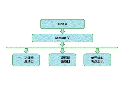 Unit3  Section Ⅴ 功能意念项目和话题项目
