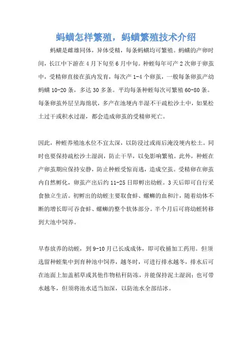 蚂蟥怎样繁殖,蚂蟥繁殖技术介绍