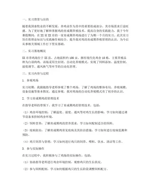 育成期养鸡场实习报告