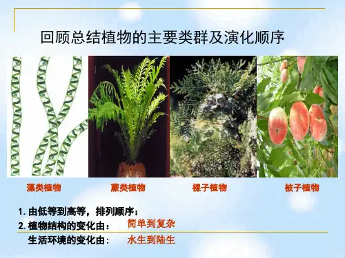 北师大版生物八年级下册 7.22.4 动物的主要类群 课件 