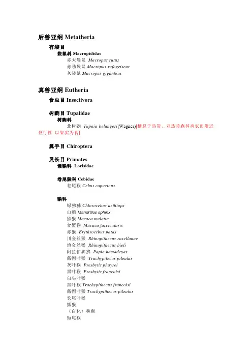 哺乳类(全)