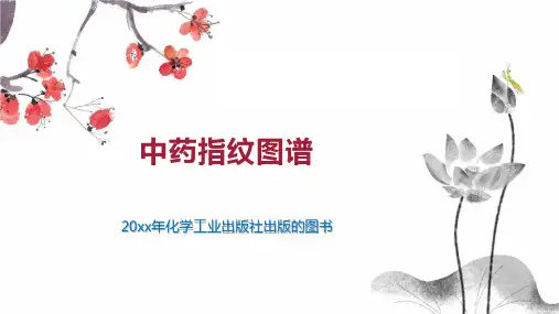 中药指纹图谱