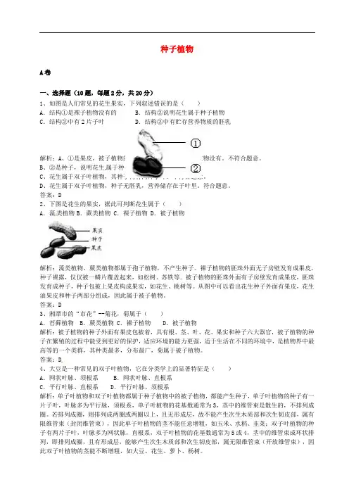 七年级生物上册 3.1.2 种子植物同步测试 (新版)新人教版