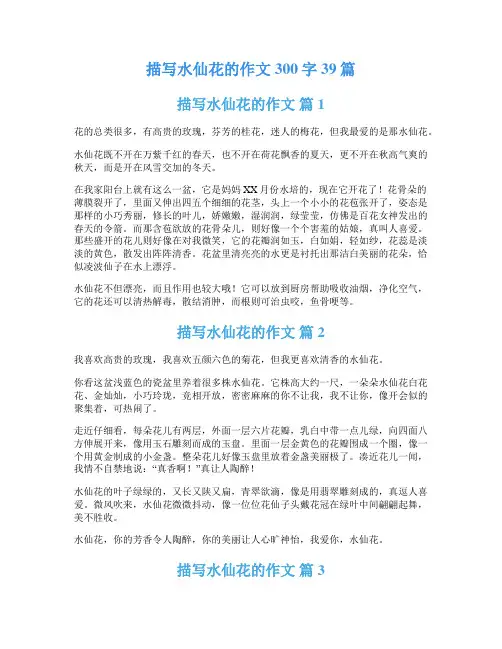 描写水仙花的作文300字39篇