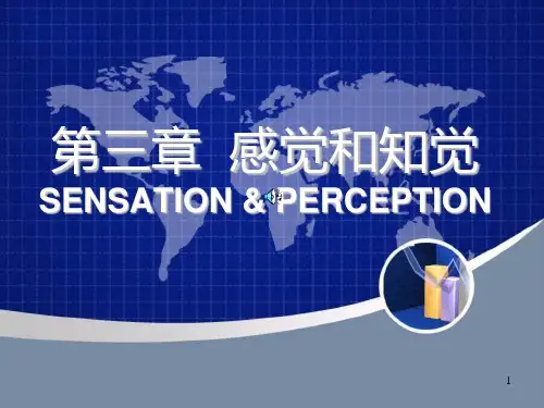 感知觉ppt课件