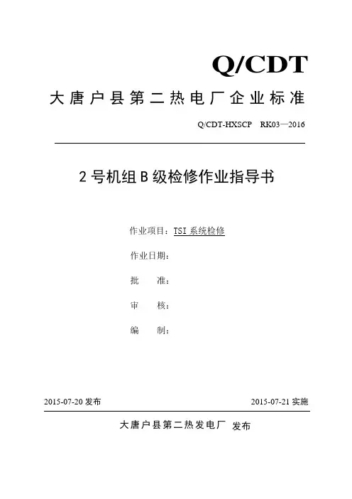 TSI检修作业指导书