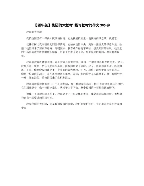 【四年级】校园的大松树 描写松树的作文300字