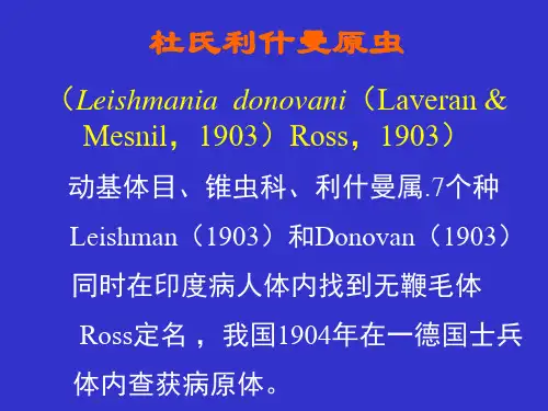 杜氏利什曼原虫