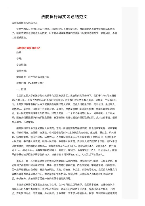 法院执行局实习总结范文