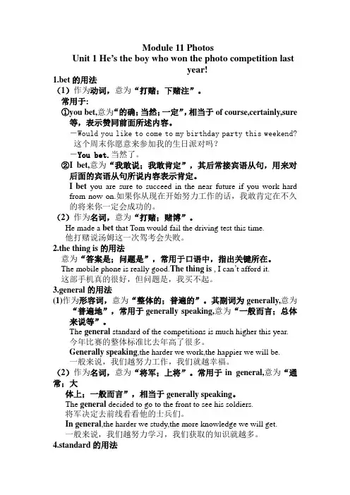 Module 11 Photos 教材重要知识点梳理-外研版九年级英语上册