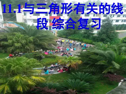 人教版八年级上册数学课件：与三角形有关线段综合复习优秀课件