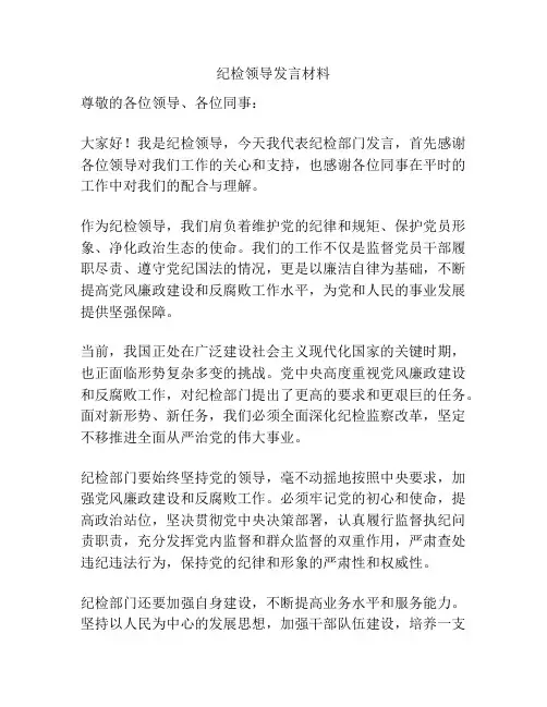 纪检领导发言材料