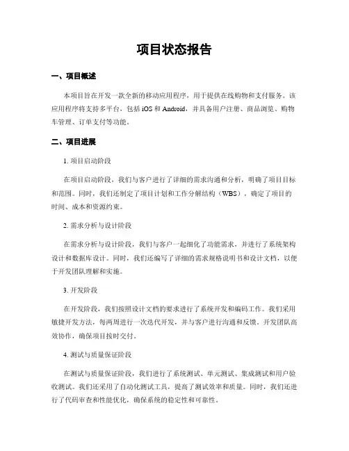 项目状态报告
