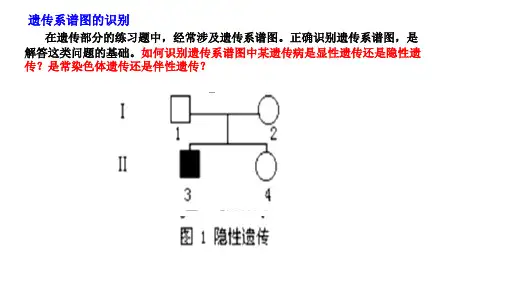 孟德尔遗传定律  计算