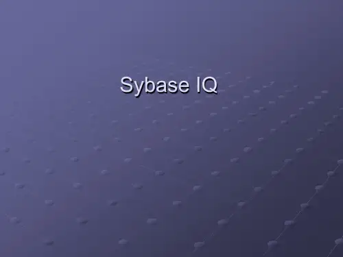 Sybase IQ培训教程第一天