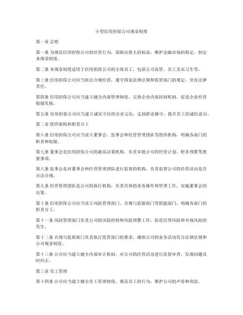 小型信用担保公司规章制度
