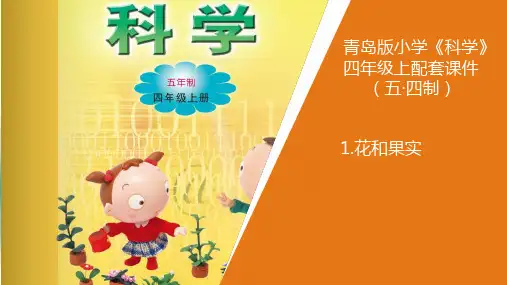 新青岛版小学科学五年制四年级上册5《花和果实》教学课件