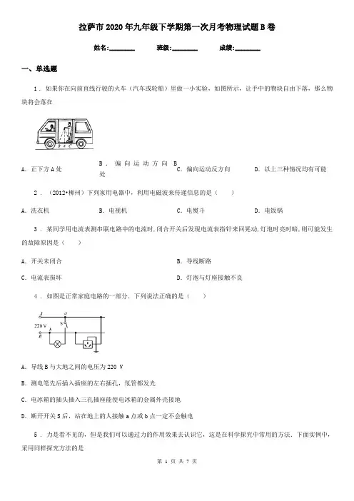 拉萨市2020年九年级下学期第一次月考物理试题B卷