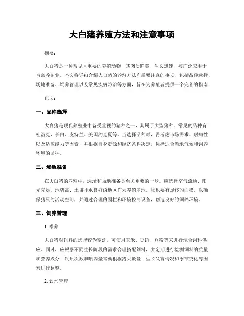 大白猪养殖方法和注意事项