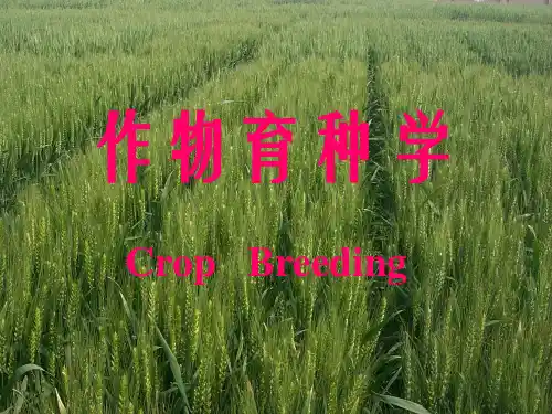 作物育种学PPT课件