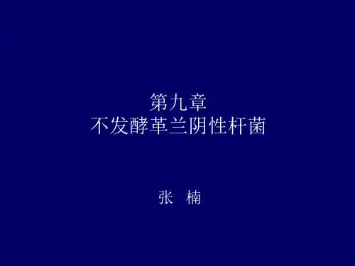 非发酵