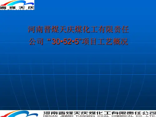 天庆工艺概况.