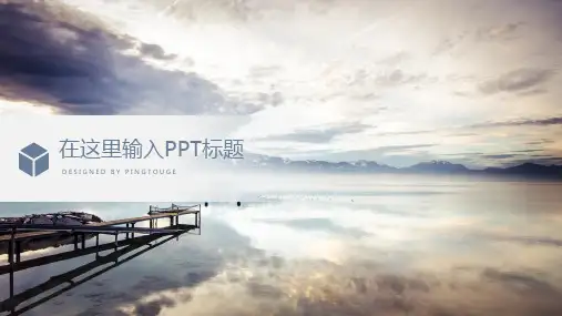 欧美高级流行极简阴影动态小清新工作汇报ppt模板